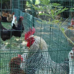 Appartamento Veramaro,accogliente In Campagna, Arezzo